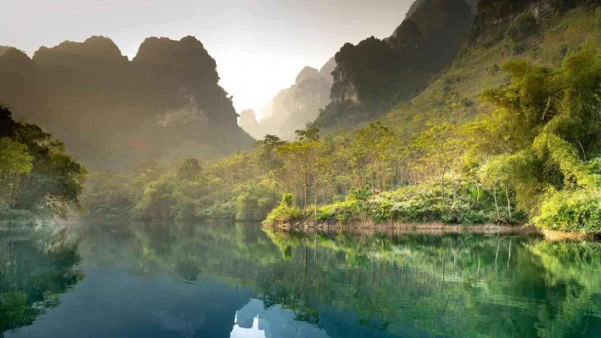 绿色科技先进